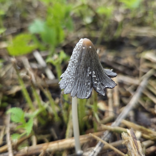 Photo #13966728