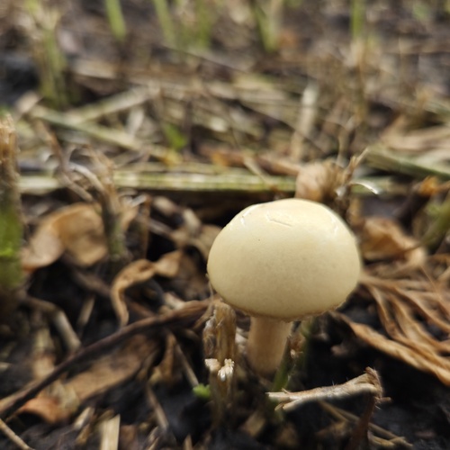 Photo #13966731