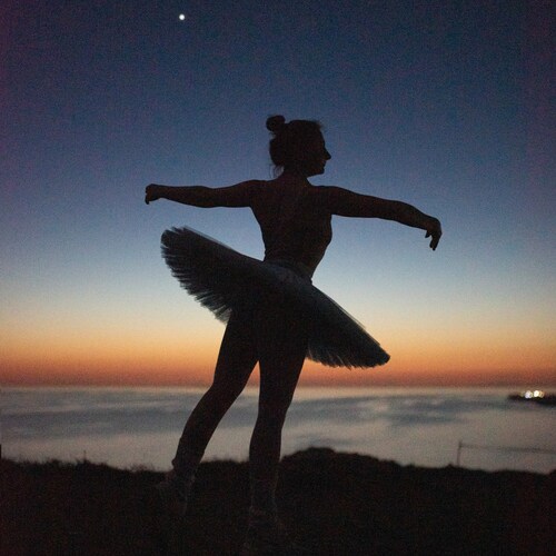 Photo #13966776