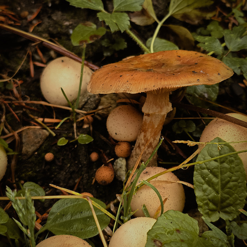 Photo #13966811