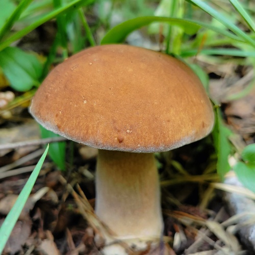 Photo #13966829