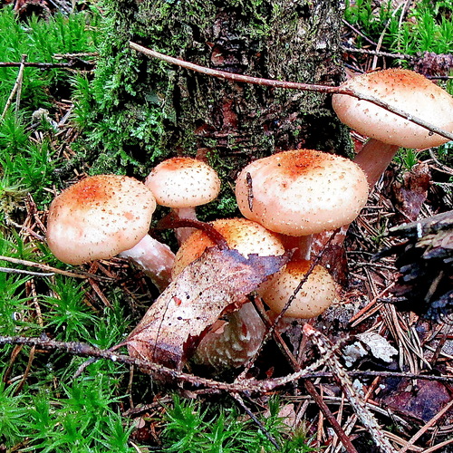 Photo #13966862