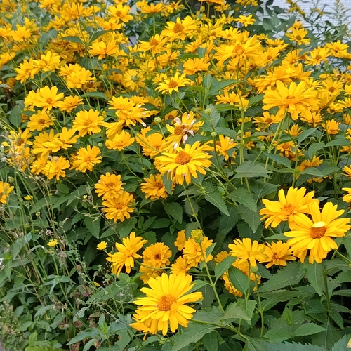 Photo #13966868