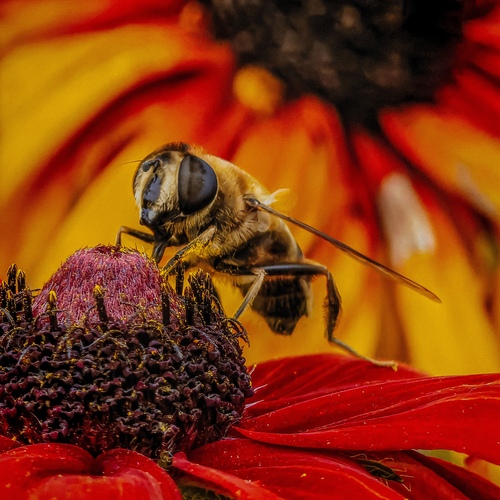 Photo #13966875