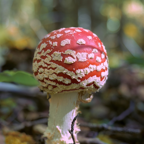 Photo #13966880