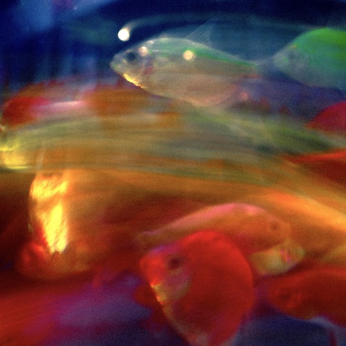 Photo #13966970