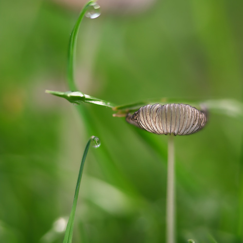 Photo #13967026