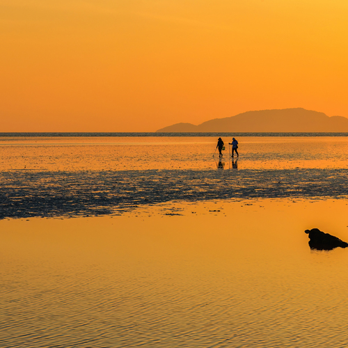 Golden Journey