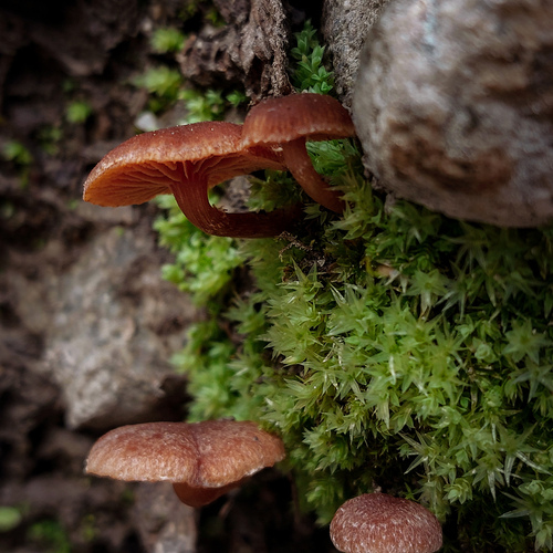 Photo #13967185