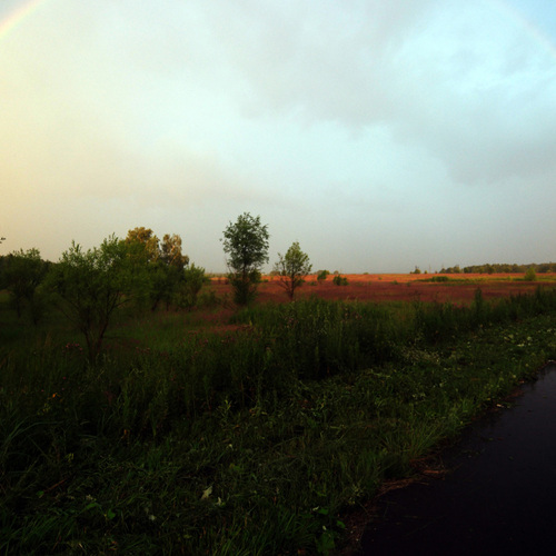 Photo #13967391
