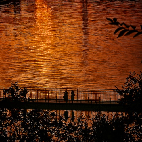 Photo #13967483