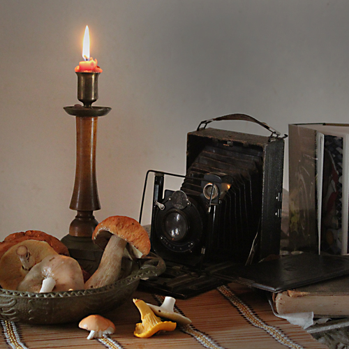 Photo #13967495