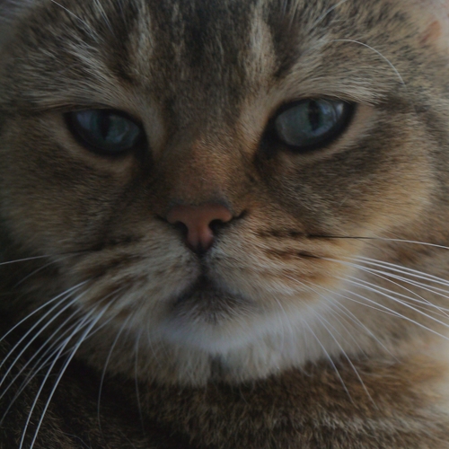 Photo #13967598