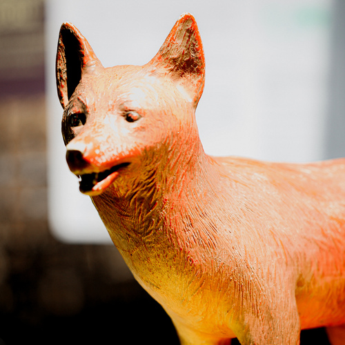 Photo #13967740