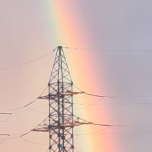 Photo #13967774