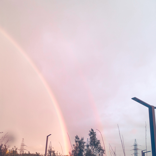Photo #13967775