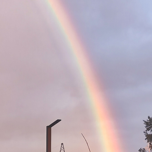 Photo #13967776