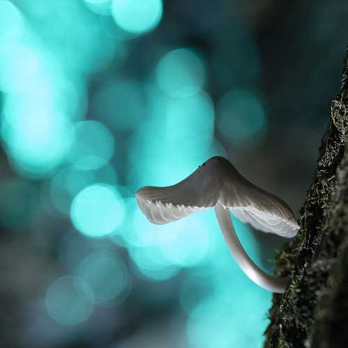 Photo #13967924