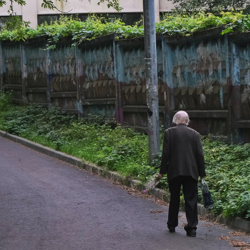 Photo #13967938