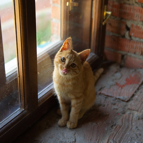 Photo #13967960