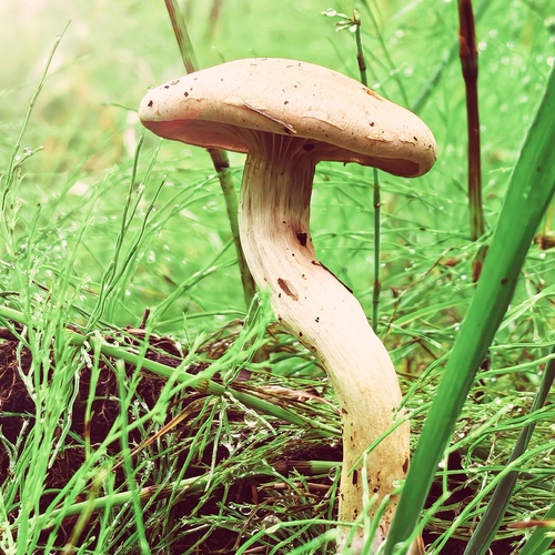 Photo #13968031