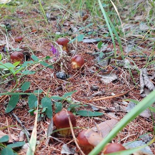 Photo #13968065