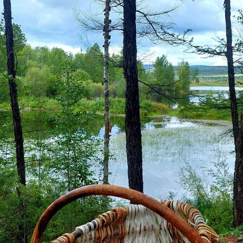 Photo #13968066