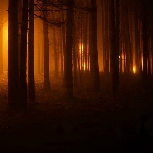 Photo #13968076