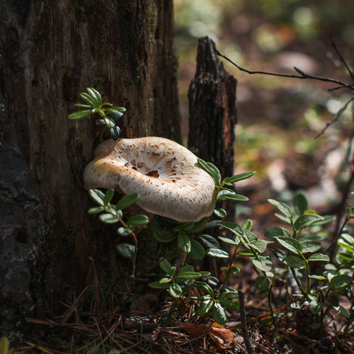 Photo #13968097