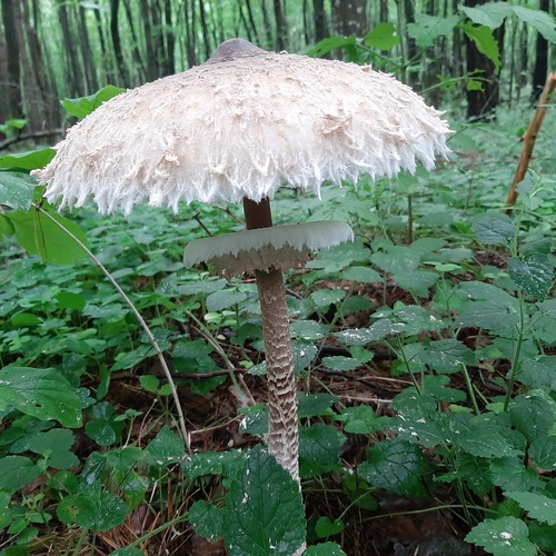 Photo #13968104