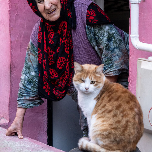 Human and cat
