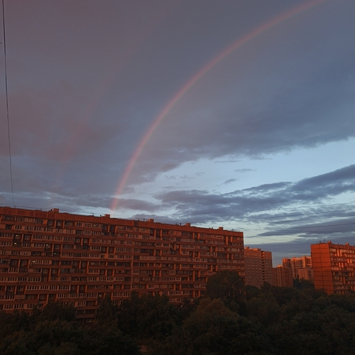 Photo #13968335