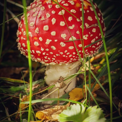 Photo #13968422