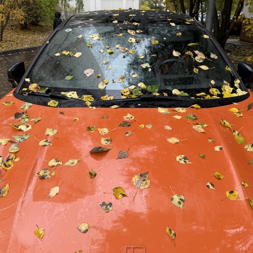 Photo #13968433