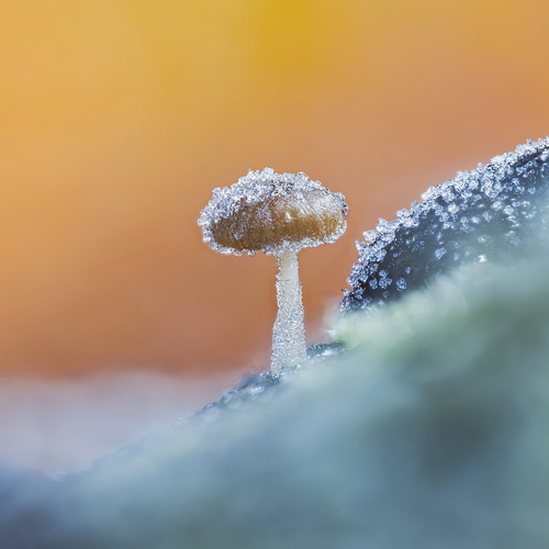 Photo #13968533