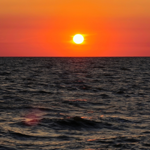 Photo #13968594