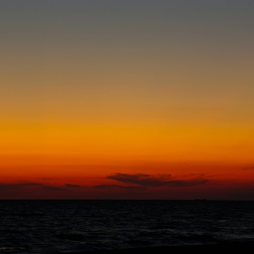 Photo #13968620