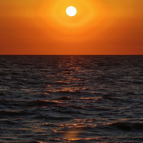 Photo #13968637
