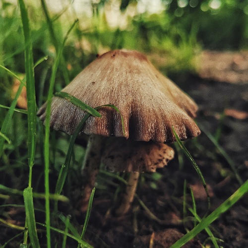 Photo #13968677