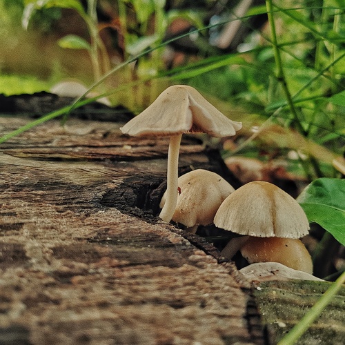 Photo #13968749