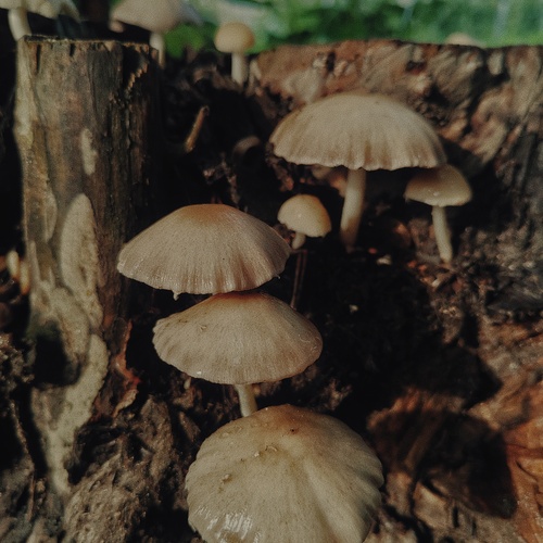 Photo #13968761