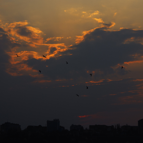 Photo #13968841