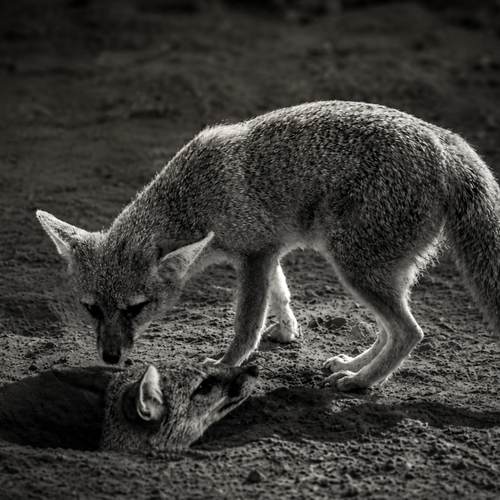 Photo #13968949