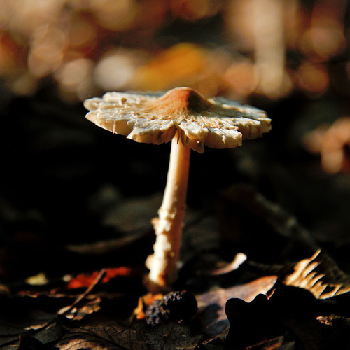 Photo #13968959