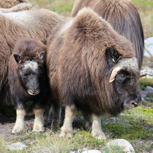 Photo #13969011