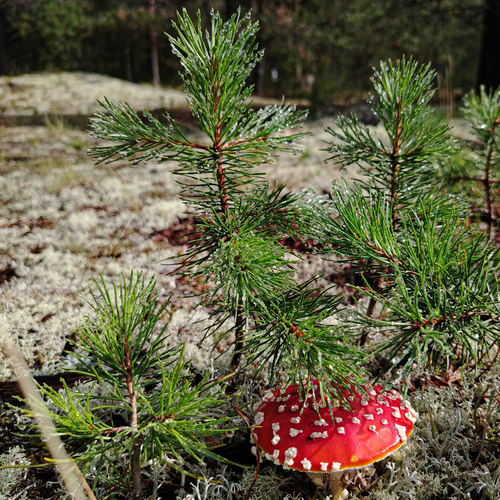 Photo #13969019