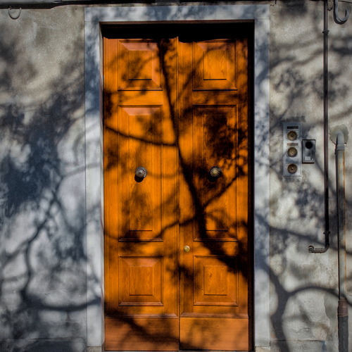Venice Door