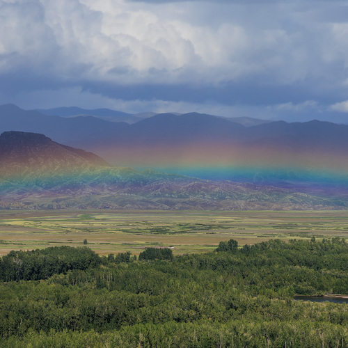 Альберт Куулар
