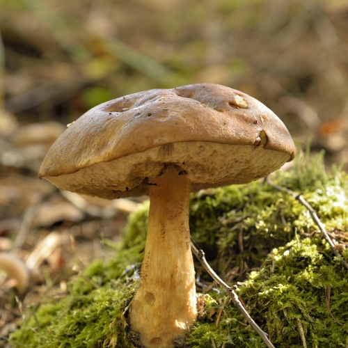 Photo #13969436