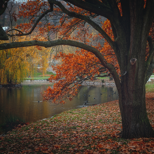 Photo #13969504